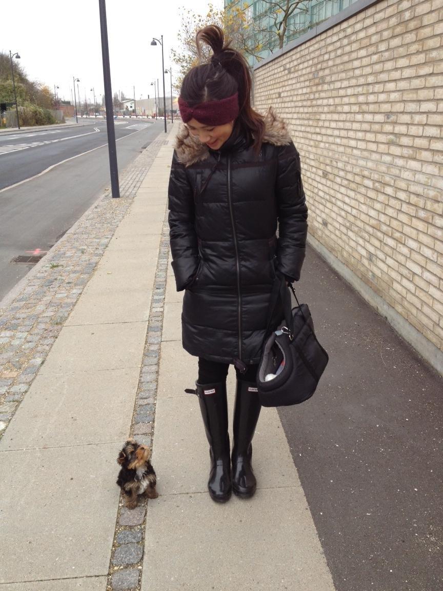 Yorkshire terrier Elvis - søndagstur :-) billede 4