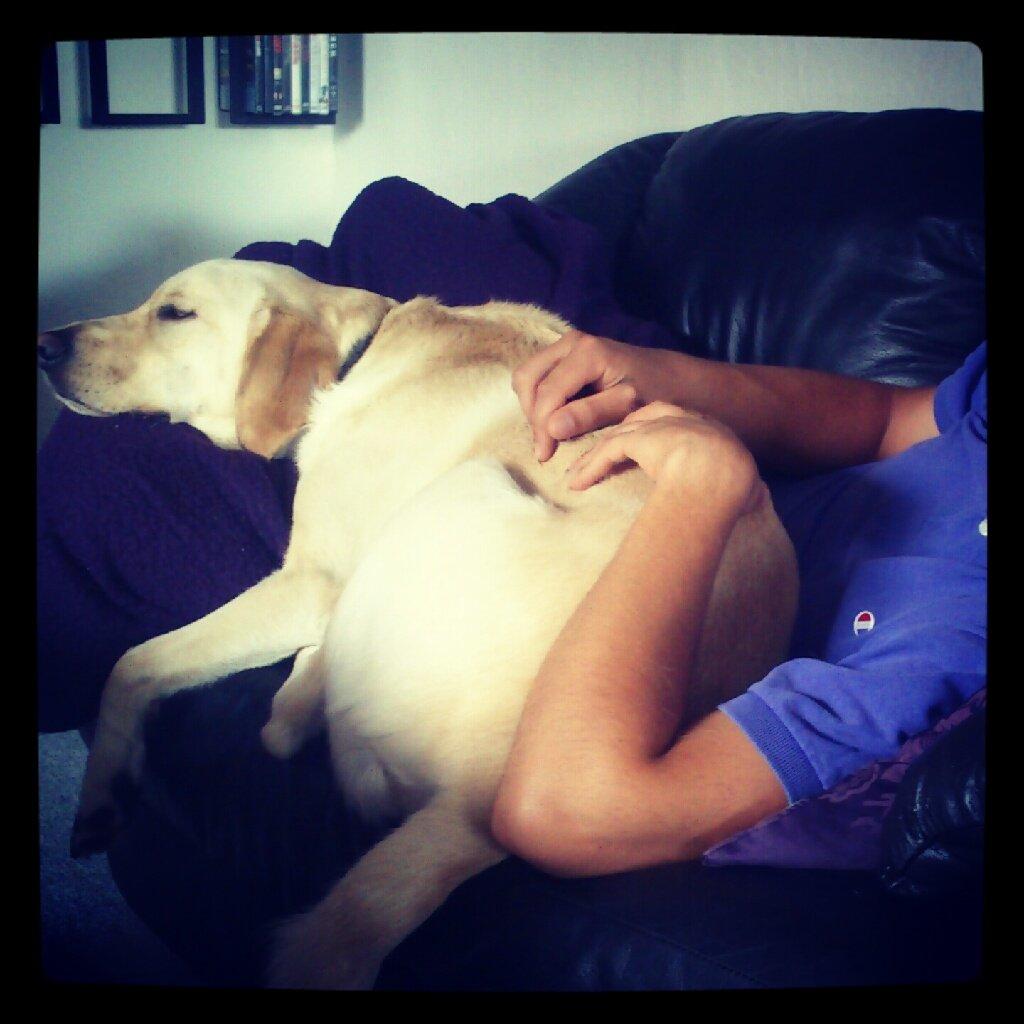 Blanding af racer Rofus billede 18