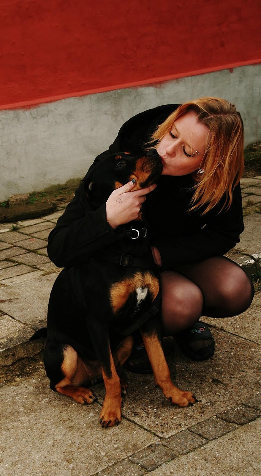 Rottweiler Sasha billede 4