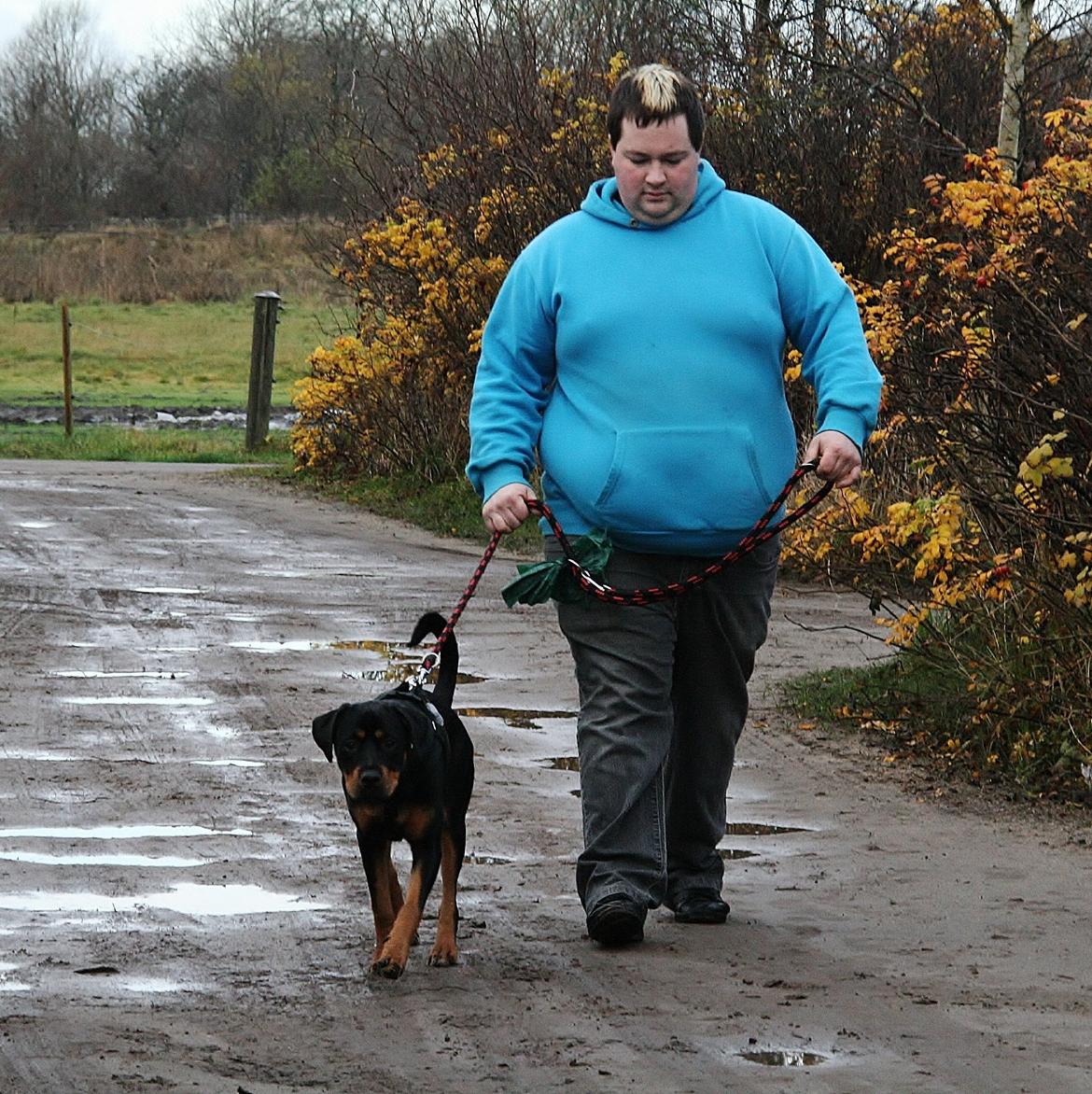 Rottweiler Sasha billede 10