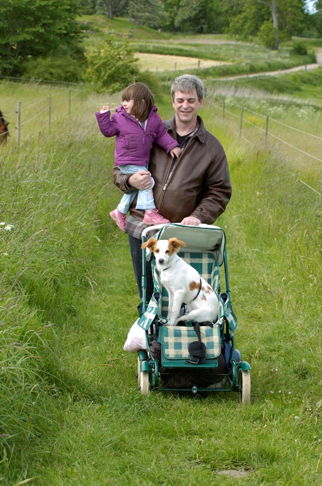 Blanding af racer Bella - Barnevognen er altså bare det bedste sted at være på en gåtur :P billede 8