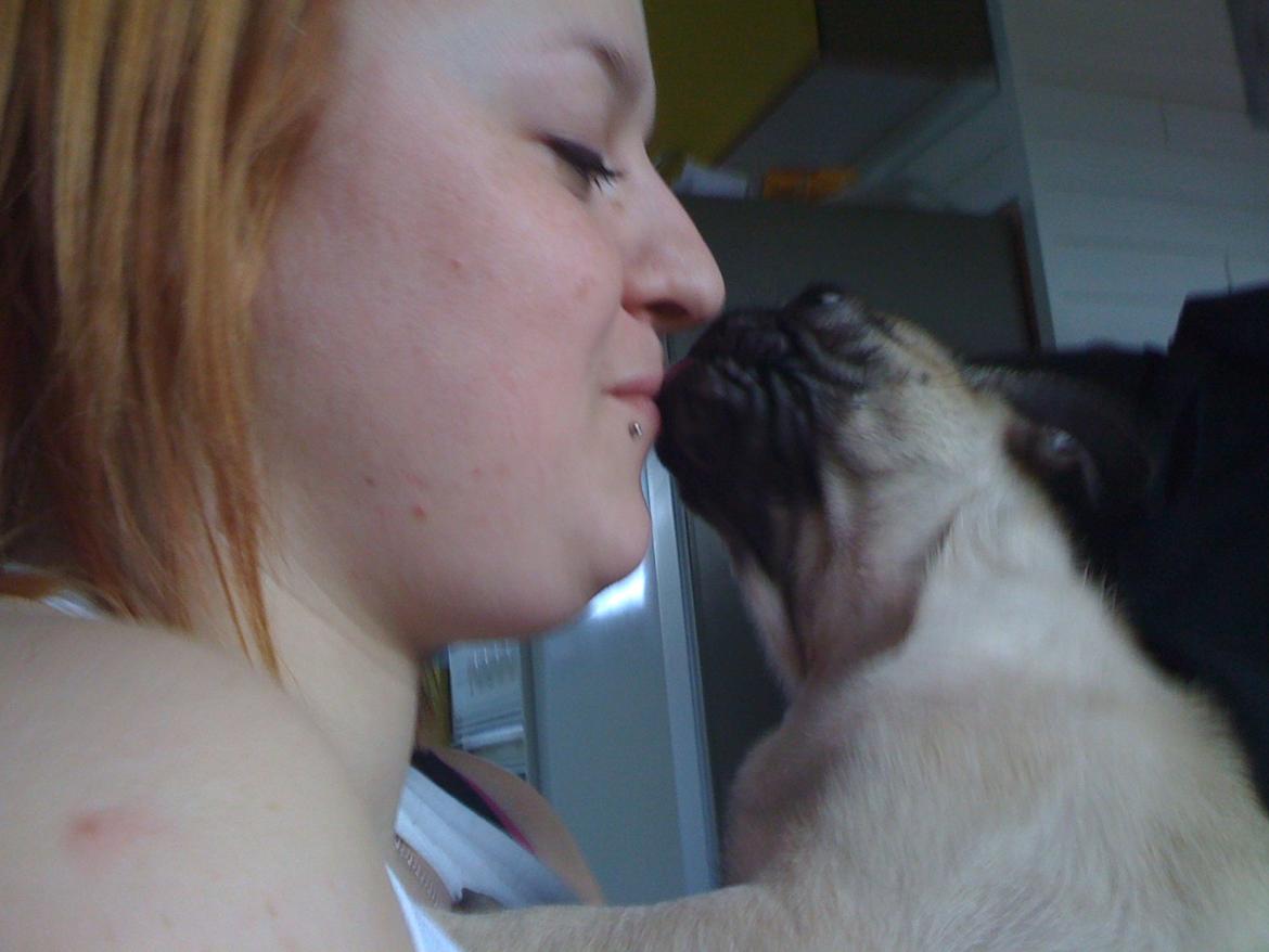 Mops Frank - Mor skal have et ORDENTLIGT møs <3 billede 13