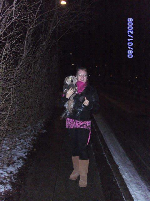 Yorkshire terrier Mulle † DØD 1.6.2011 † billede 8