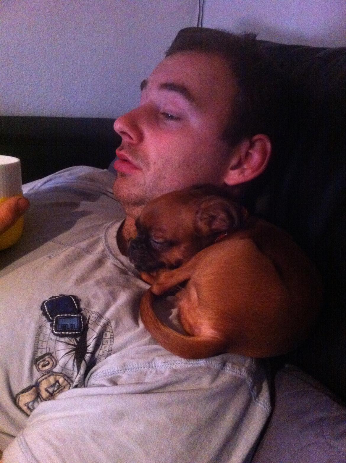 Blanding af racer Mille billede 8