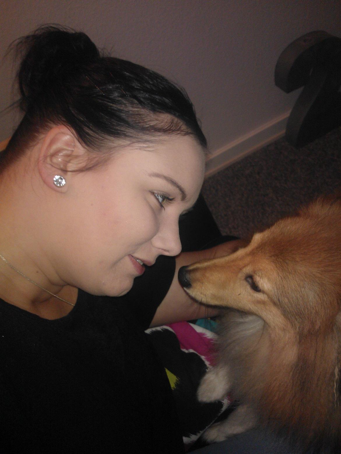 Shetland sheepdog Watson *Firehøje's Fancy Twix* - Når jeg rigtigt nyder livet. hygger jeg med mor. billede 15