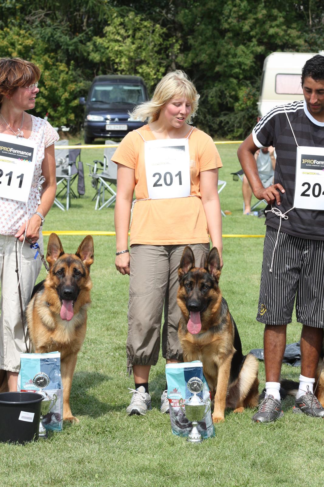 Schæferhund Lyagers Come On Corba - HAS 2009 SL 5 billede 11