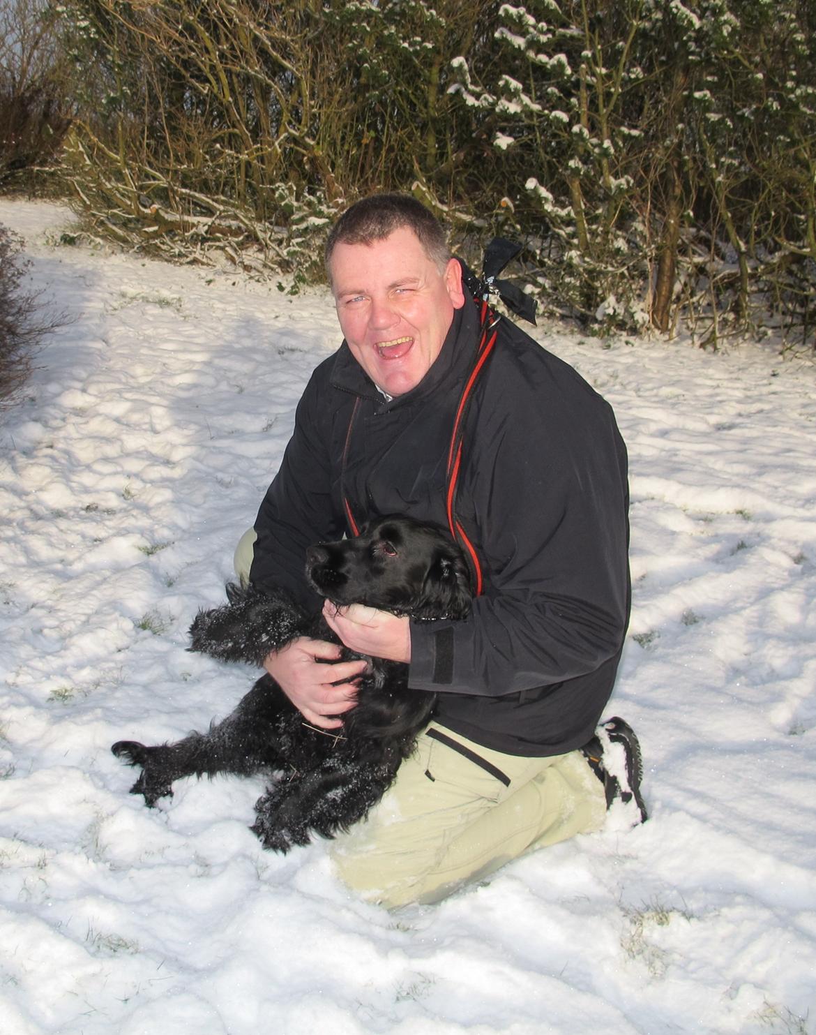 Cocker spaniel Buller billede 14