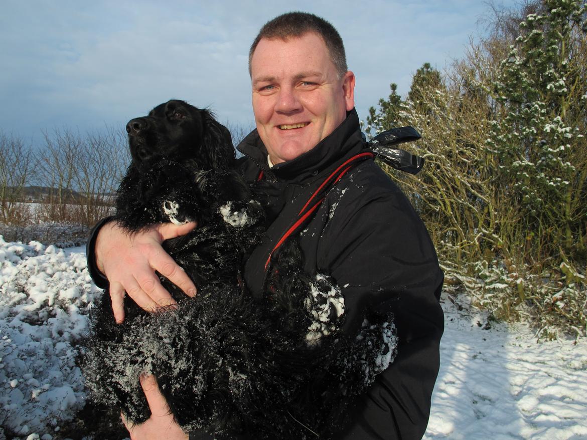 Cocker spaniel Buller billede 6