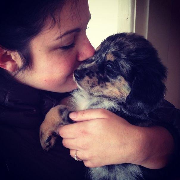 Blanding af racer Merci 6 år <3 - 7 uger gammel, 3 gang vi ser hende billede 9