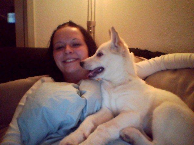 Blanding af racer Nischa billede 1