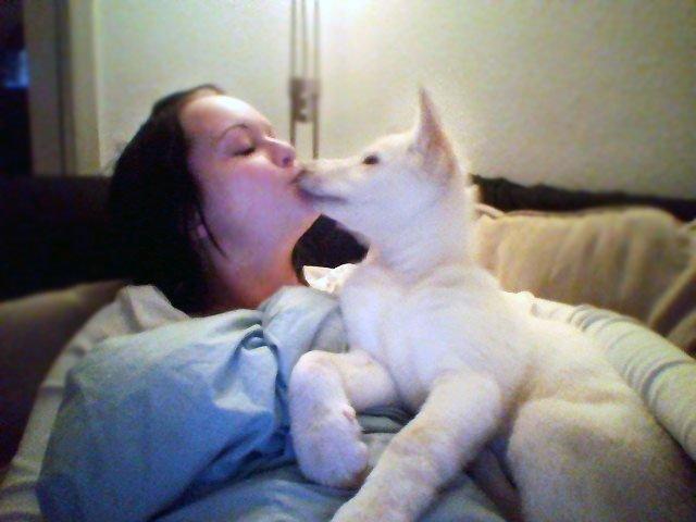 Blanding af racer Nischa billede 2