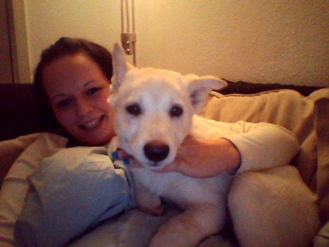 Blanding af racer Nischa billede 3