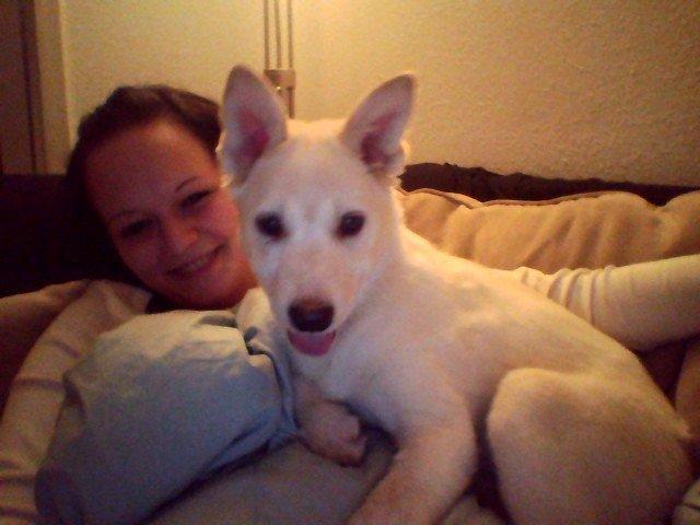 Blanding af racer Nischa billede 4