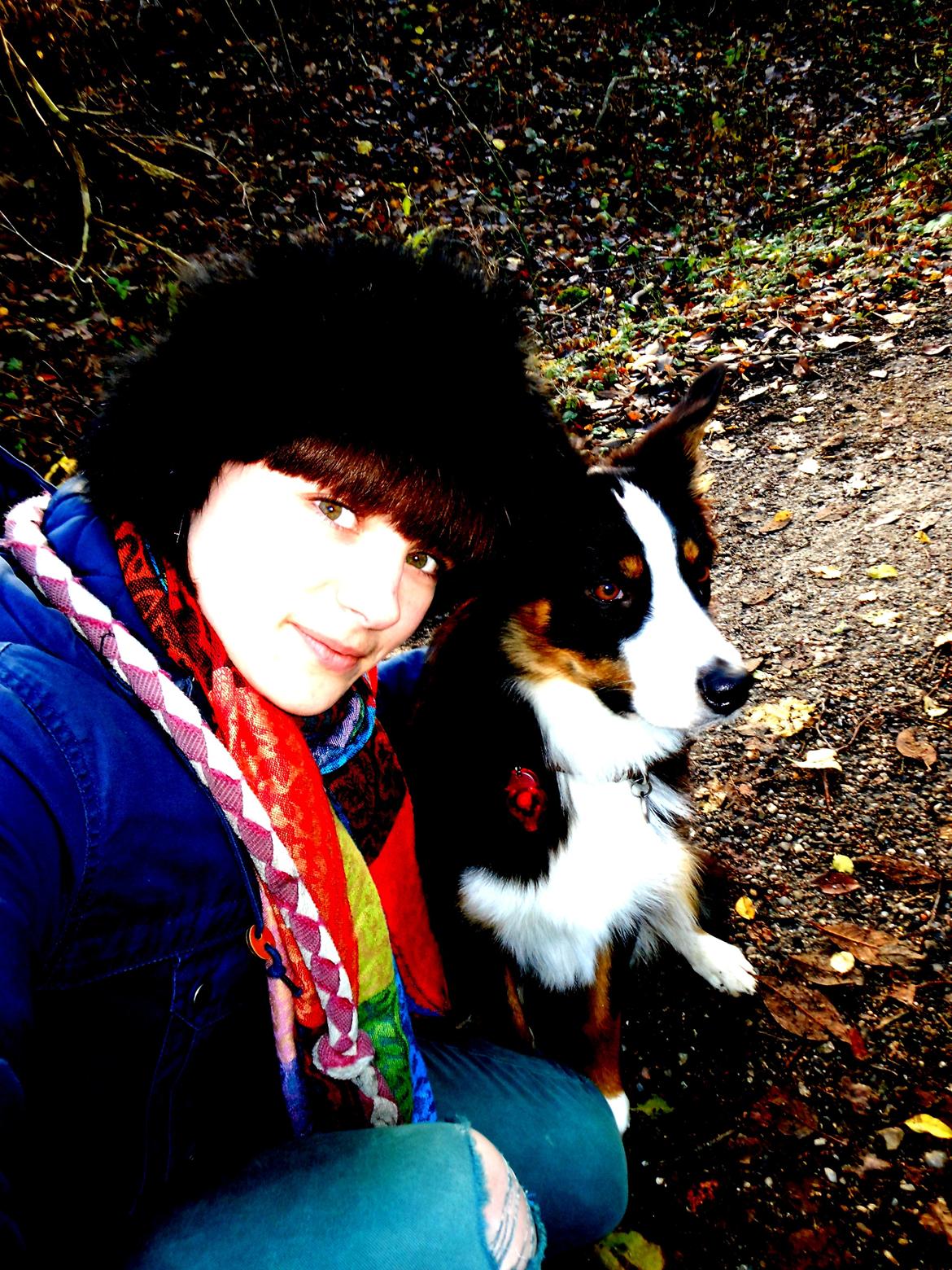 Australian shepherd Mille - mill mill på sin 1 års fødselsdag, sikke dog en stor pigen hun er blevet :)  billede 20