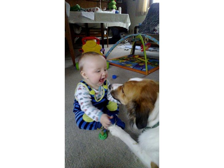 {{currentPhoto.altText}} billede {{currentPhoto.number}}