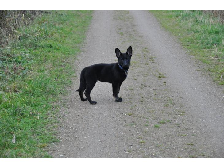 {{currentPhoto.altText}} billede {{currentPhoto.number}}