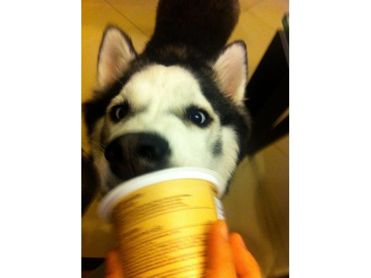 {{currentPhoto.altText}} billede {{currentPhoto.number}}