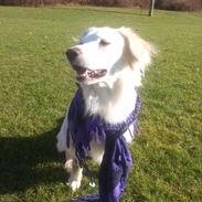 Blanding af racer Jarko