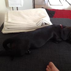 Blanding af racer Mille