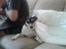 Blanding af racer Dansk/Svensk - Jack Russell Nanna