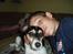 Blanding af racer Dansk/Svensk - Jack Russell Nanna