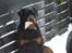 Rottweiler Fury vom hause Desteny (coco) - Jeg hygger lige