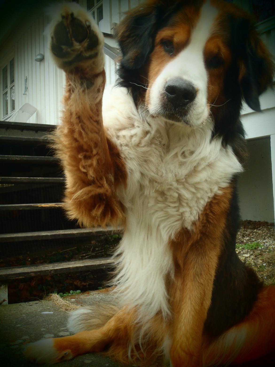 Blanding af racer Sofus R.I.P sept 2014 billede 15