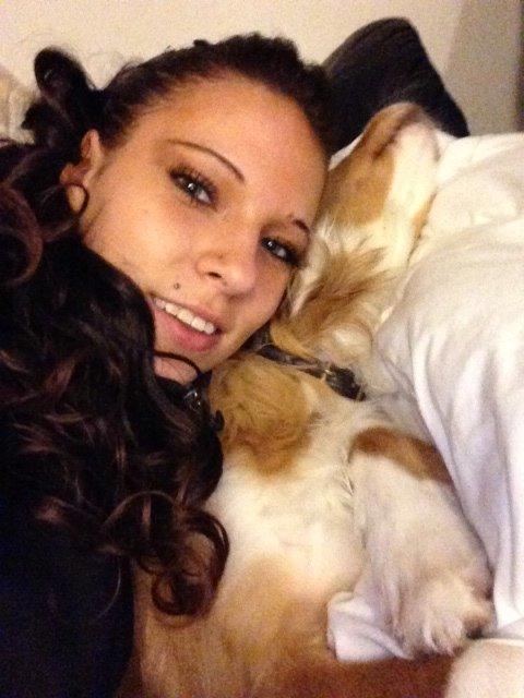 Blanding af racer Monty billede 20