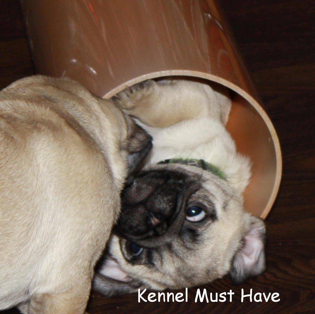 Mops Must Have Karen Blixen billede 5