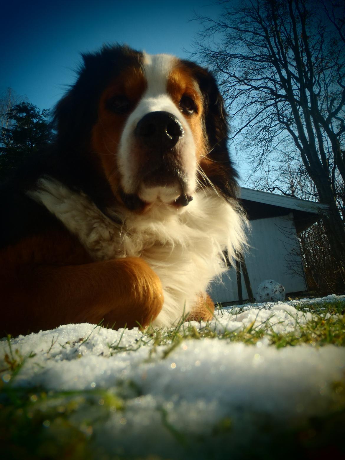 Blanding af racer Sofus R.I.P sept 2014 billede 18