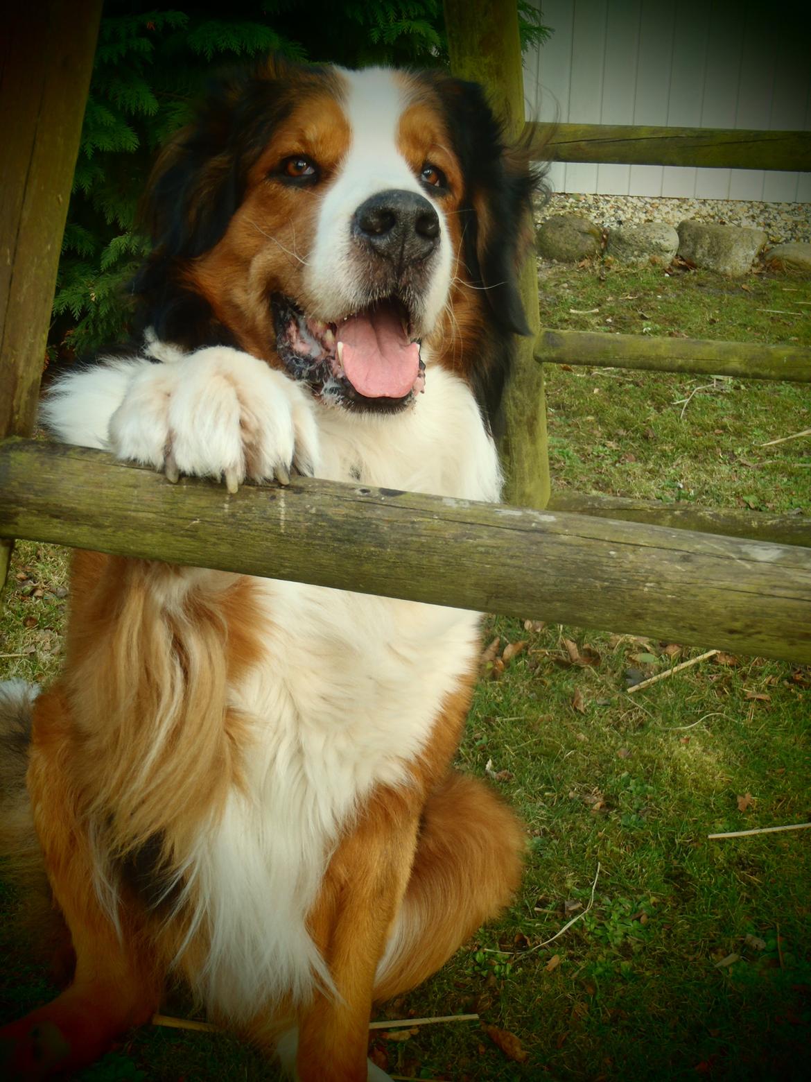 Blanding af racer Sofus R.I.P sept 2014 billede 19