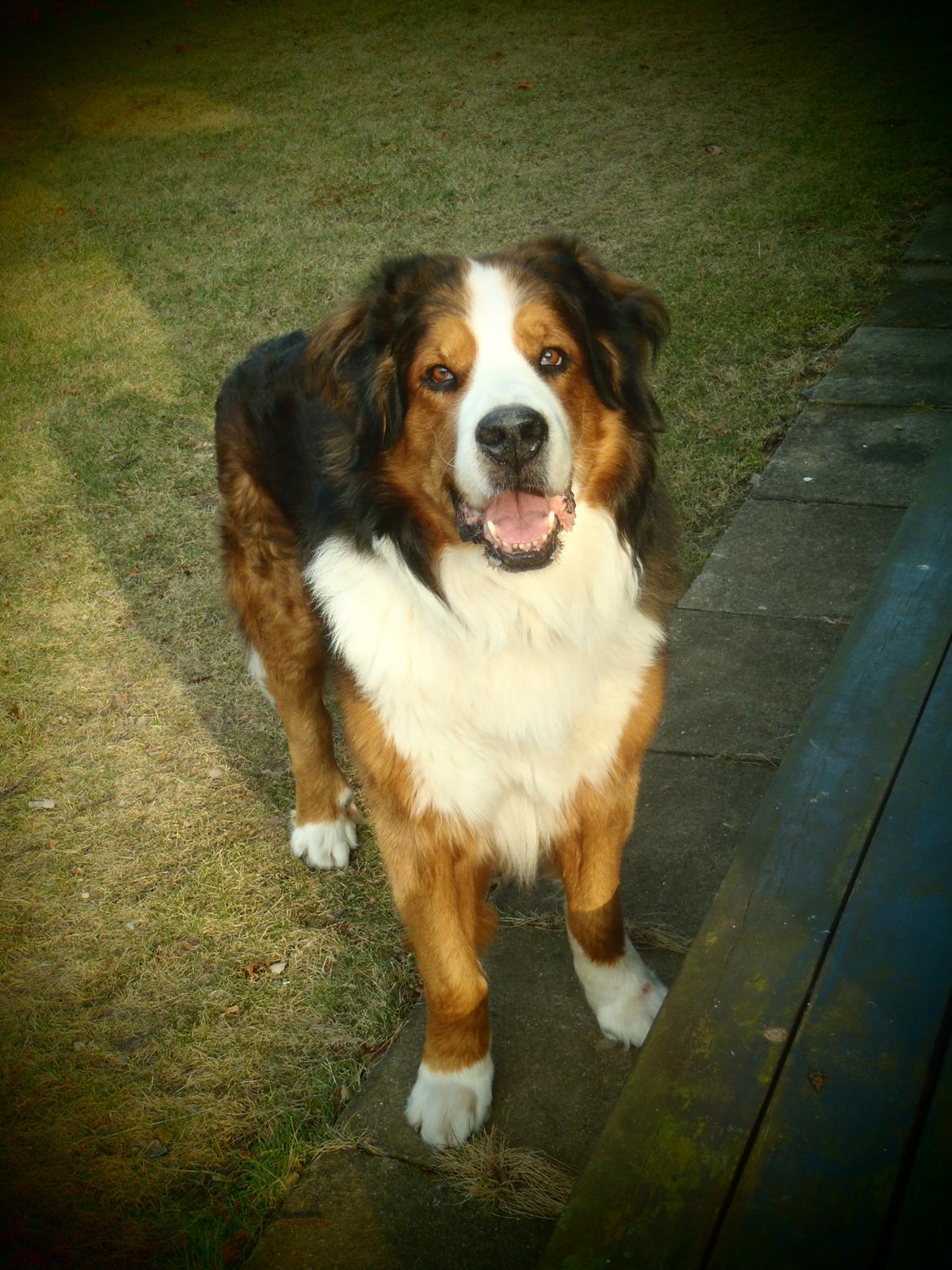 Blanding af racer Sofus R.I.P sept 2014 billede 20