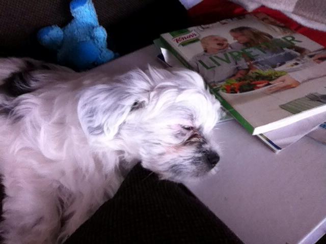 Blanding af racer Møffe - Gaaaab...hvor er det trættende at se på madopskrifter billede 9