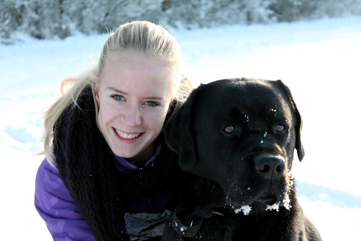 Labrador retriever Albert<3 - A real friend, is one who always are by your side.

Vi siger farvel<3 billede 20