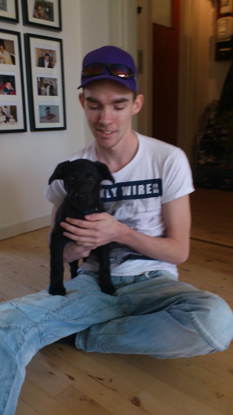 Blanding af racer Molly billede 2