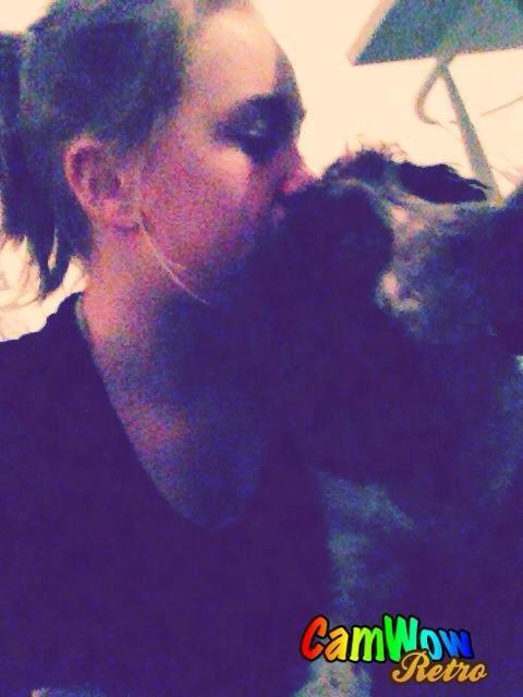 Field Trial Cockerspaniel Cairo billede 4