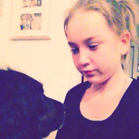 Field Trial Cockerspaniel Saxaphone Klinger billede 2