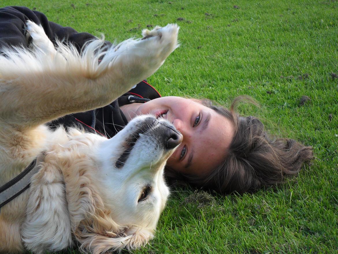 Golden retriever Luca - Et mindre godt billede af mig, men det betyder lidt for mig. Det viser vores gode tider sammen :) billede 5