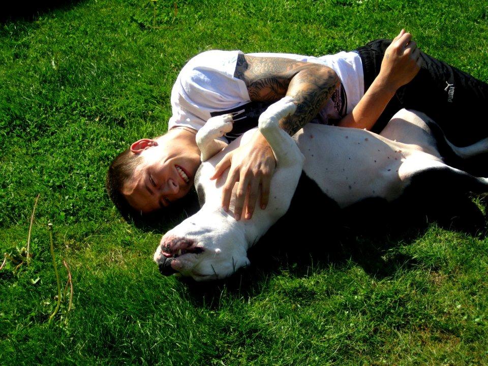 Amerikansk staffordshire terrier Dia - Sommer 2012 :-)
- hygge i haven !! billede 2