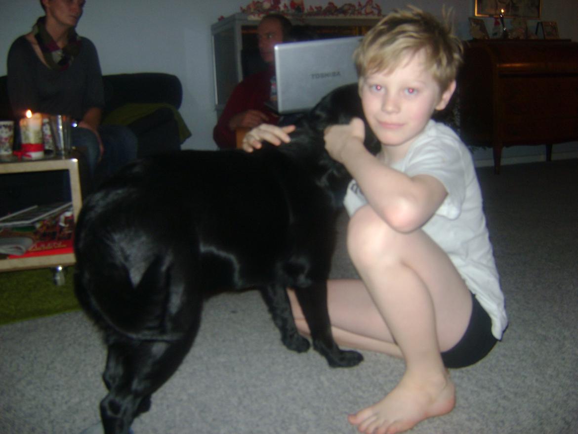 Blanding af racer Bella billede 18