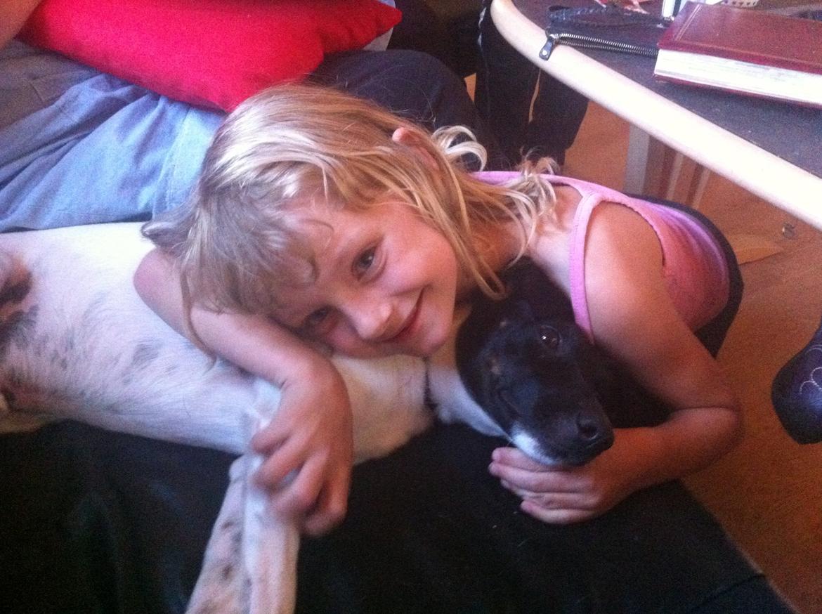 Blanding af racer Milo billede 7