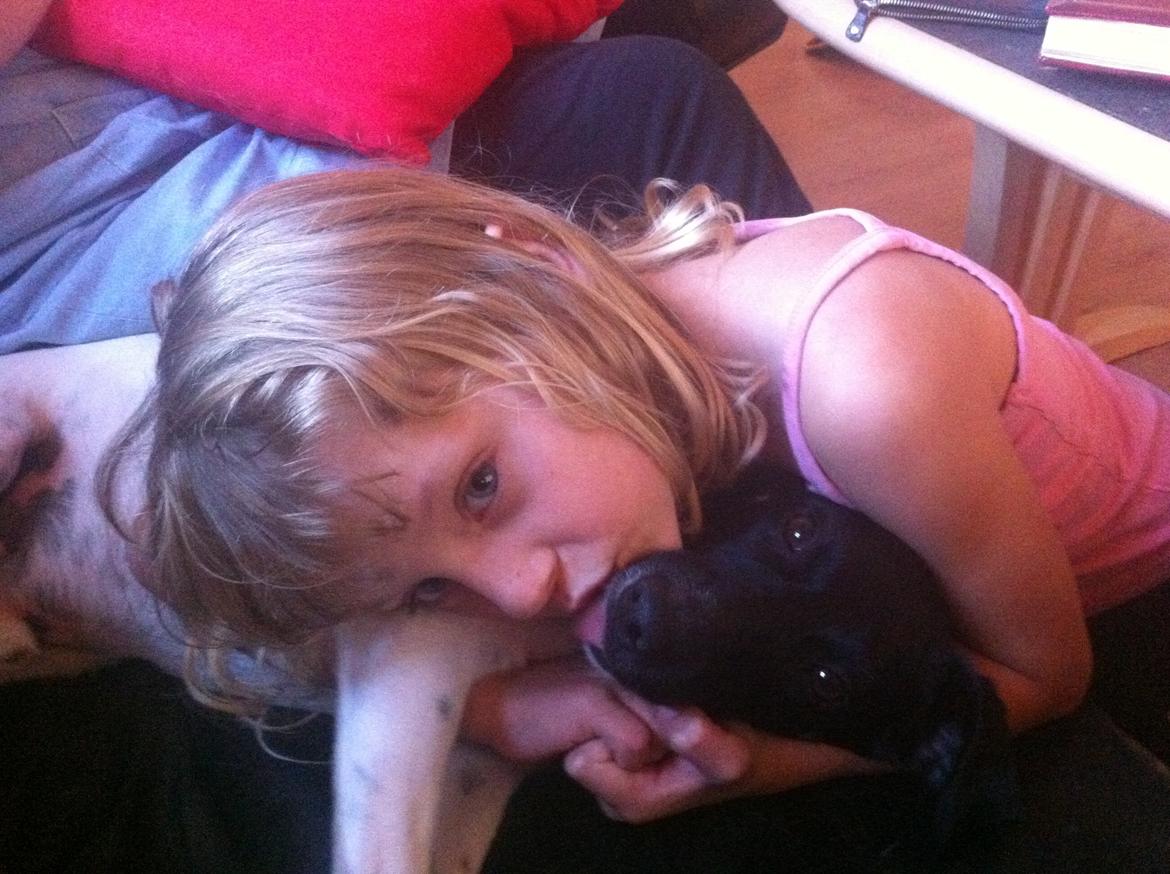 Blanding af racer Milo billede 10