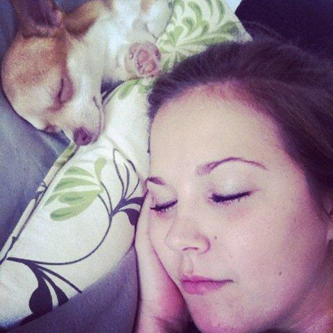 Chihuahua Emma - Puha, vi blev trætte <3 billede 6