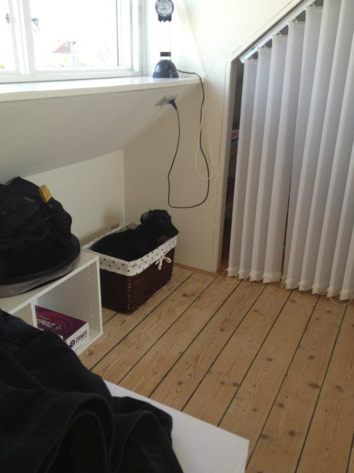 Blanding af racer Mille billede 2