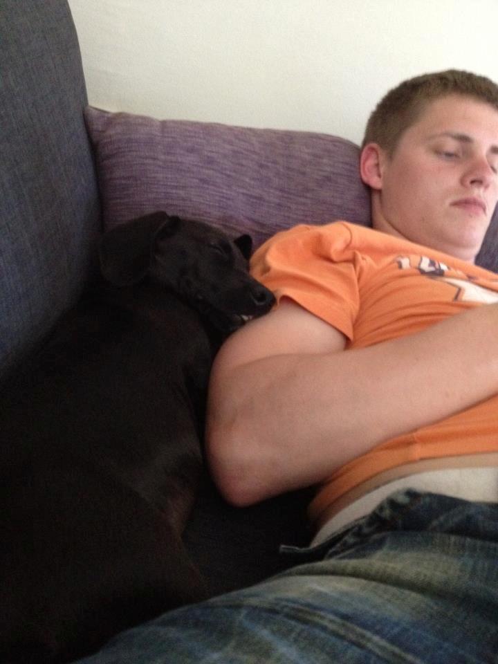 Blanding af racer Mille billede 4