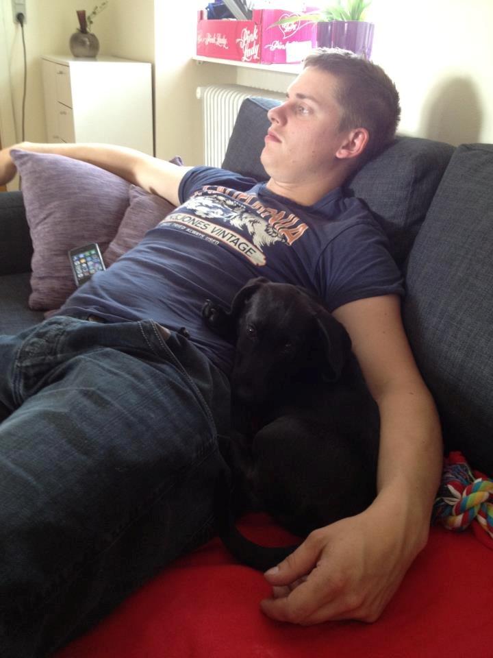 Blanding af racer Mille billede 11