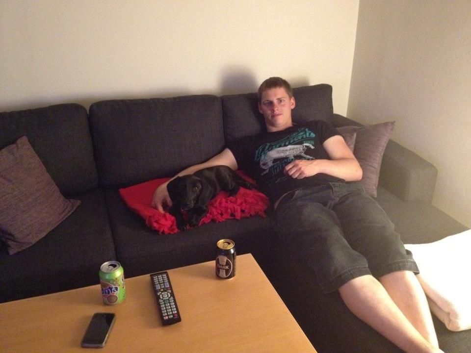 Blanding af racer Mille billede 12