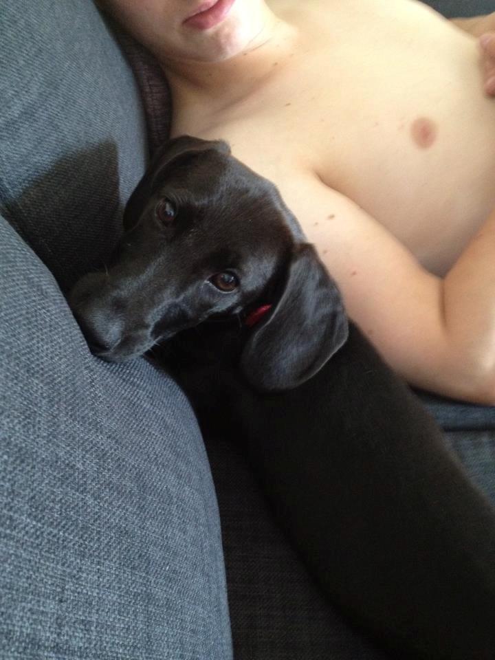 Blanding af racer Mille billede 13