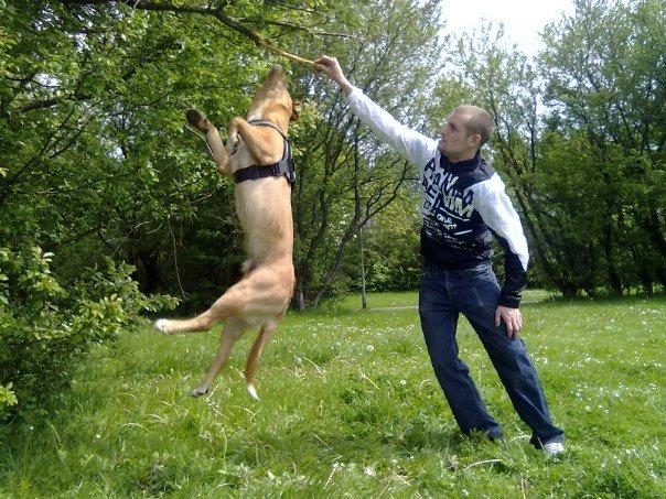 Blanding af racer Keiser billede 17