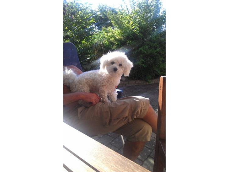 {{currentPhoto.altText}} billede {{currentPhoto.number}}